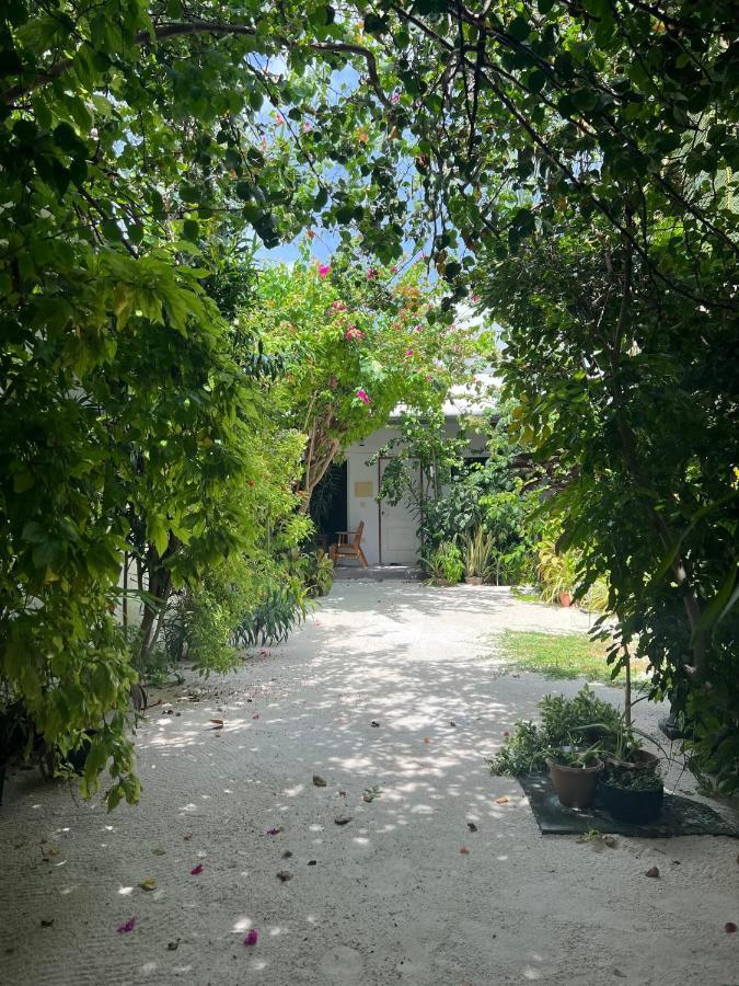 Lagoon Villa Maldives 图杜 外观 照片