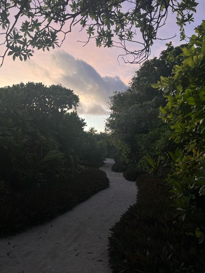 Lagoon Villa Maldives 图杜 外观 照片