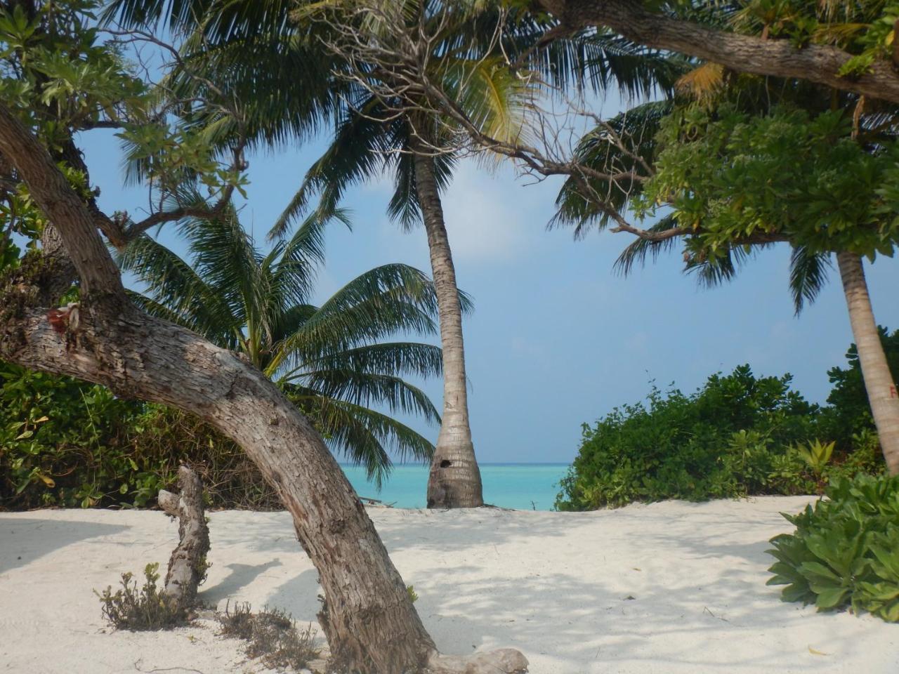 Lagoon Villa Maldives 图杜 外观 照片